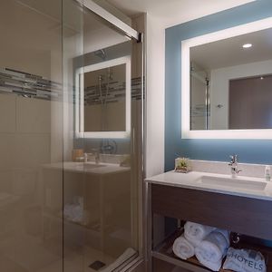 Standard King Room Roll Shower Mobility Access